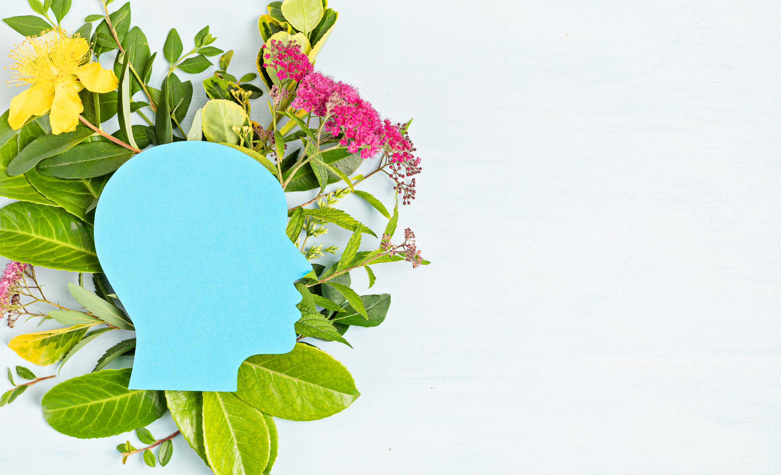 Papercut head with green leaves and flowers. Mental health, emotional wellness, contented emotions, self care, psychology, green thinking, ecology